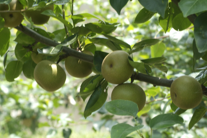 �л���Ʒ��