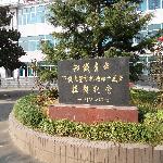 �ֳ�֪���Ļ�